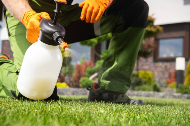 Wildlife Control Services in Cold Springs, NV