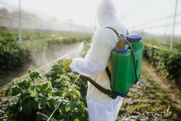 Best Pest Prevention Services  in Cold Springs, NV